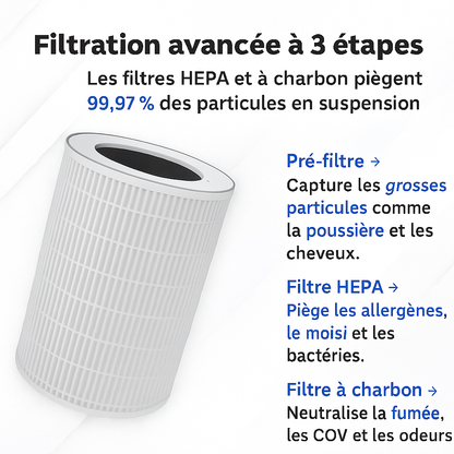 Airolis Pur | HEPA | Capture poussière et pollen